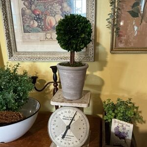 Smith & Hawken Faux Boxwood Topiary